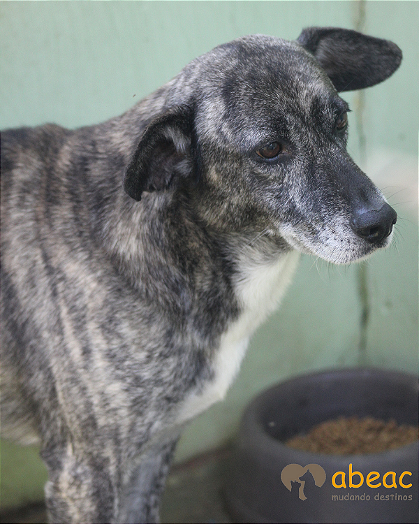 Ralf-Sr. Claudio - 09 anos