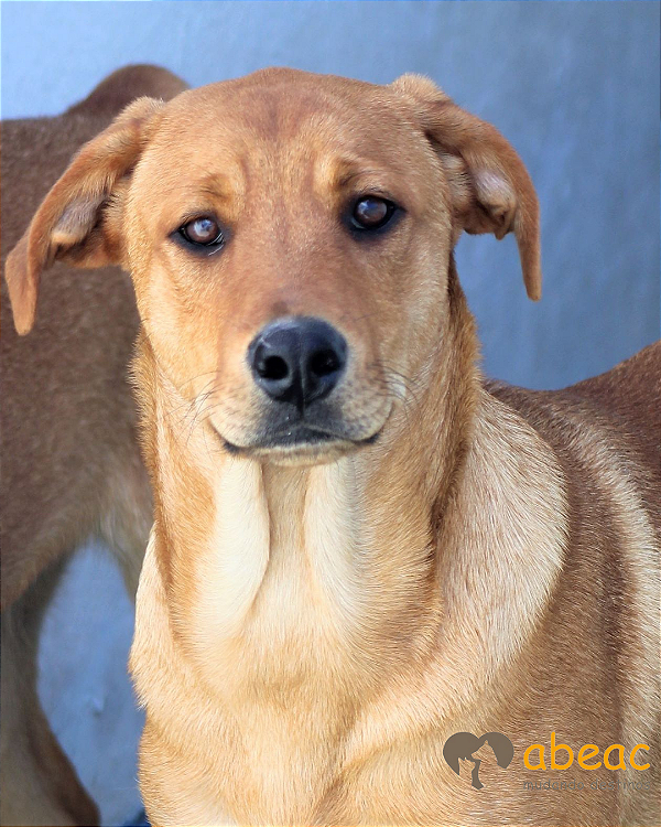 Roque-Caucaia - 09 anos