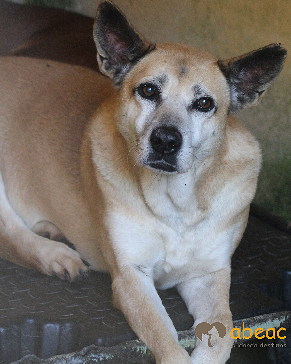 Sara-Wanderléia - 09 anos