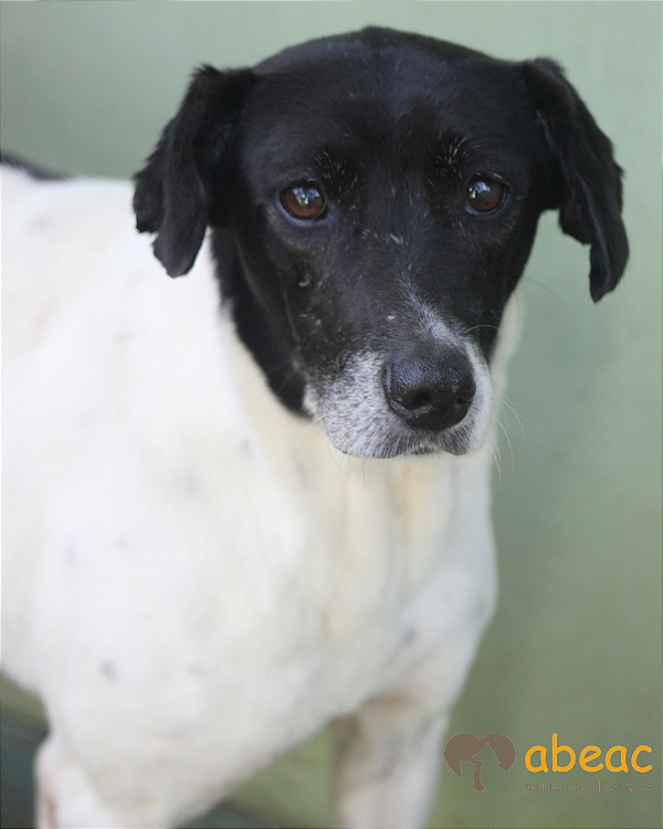 Suzy-Sr. Claudio - 09 anos