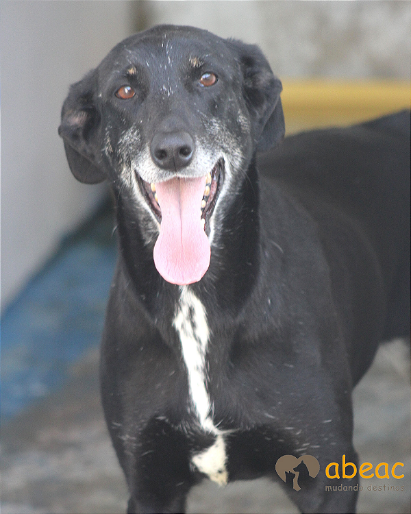 Valentina-Caucaia - 09 anos