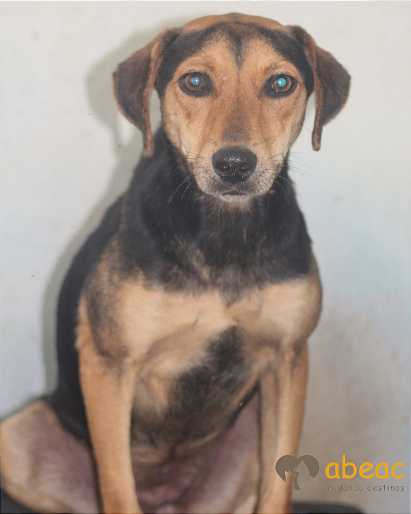 Vitória-Aurora - 06 anos