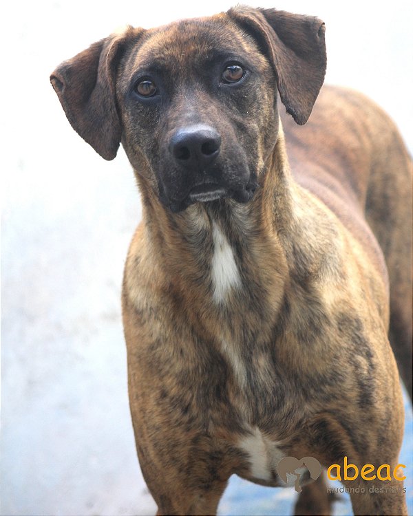 Zeca-Parelheiros - 05anos