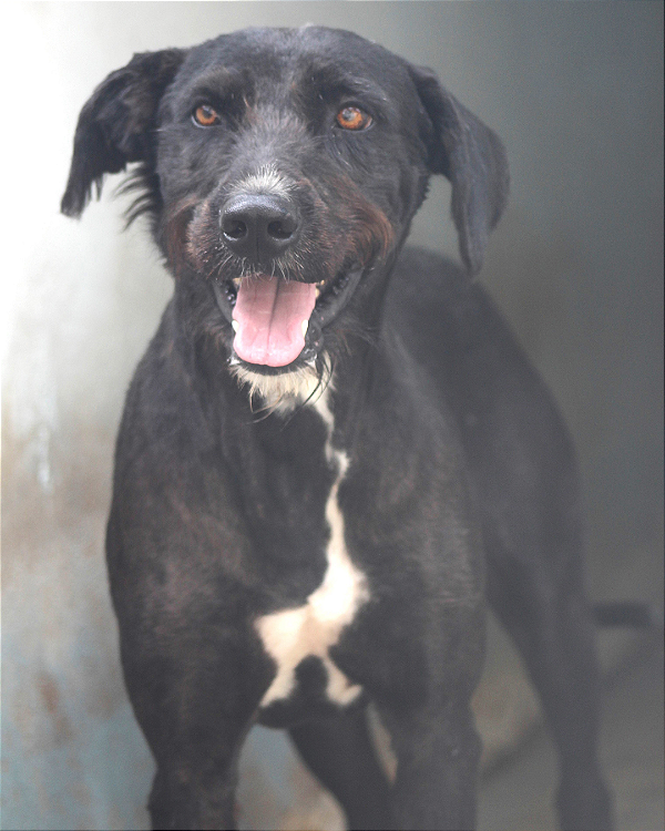 Zeus-Aurora - 07 anos