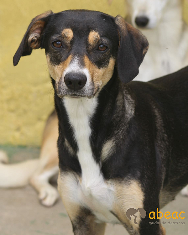 Betina-Caucaia - 09 anos