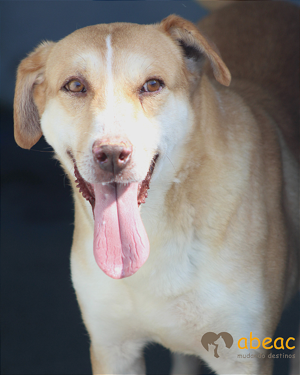 Boris-Mabel - 12 anos