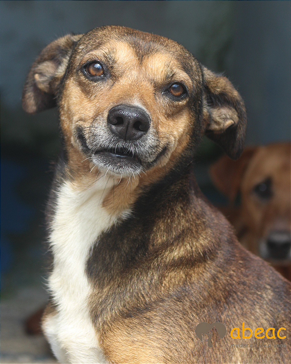 Brenda-Betina - 15 anos