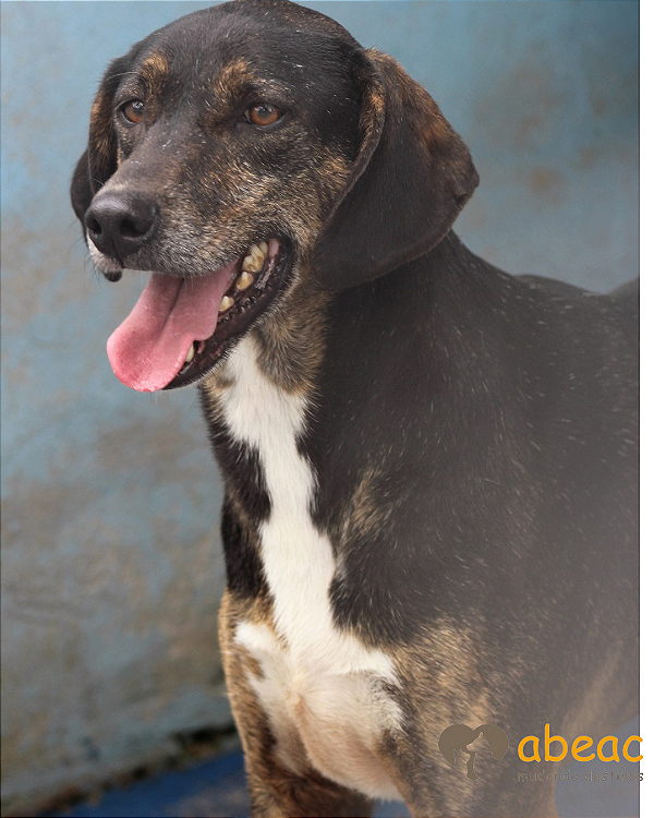 Danna-Pretinha - 13 anos