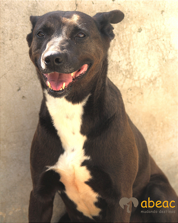 Diana-Sr. Claudio - 08 anos