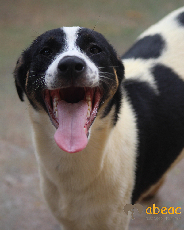 Eros-Drica - 03 anos