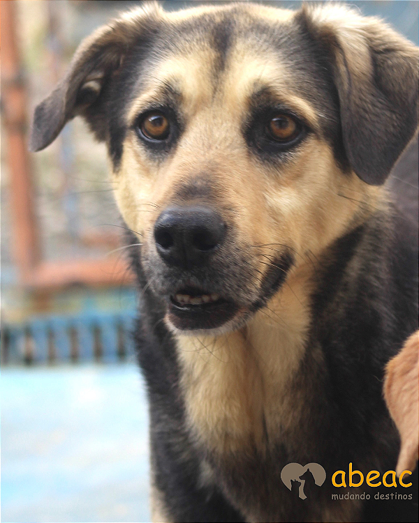 Eros-Madona - 11 anos