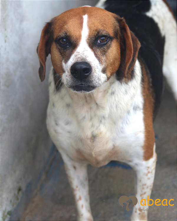 Igor-300 Anjos - 07 anos