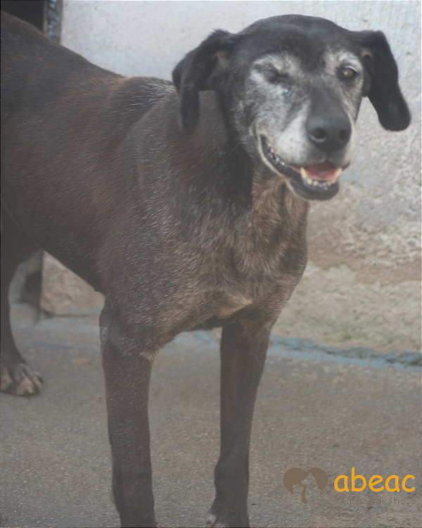 Julieta-Caucaia - 16 anos