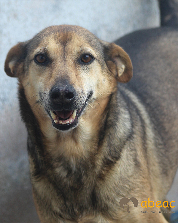 Lolly-Carapicuiba - 12 anos