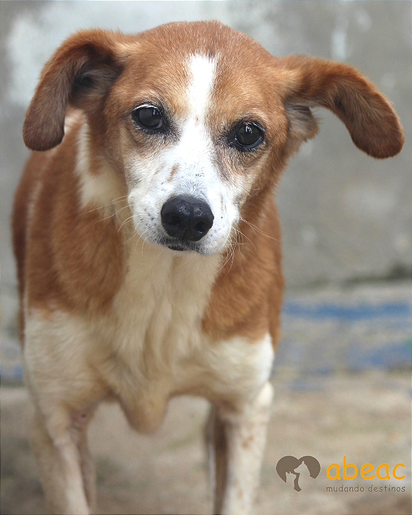 Luana-Dna Beth - 14 anos