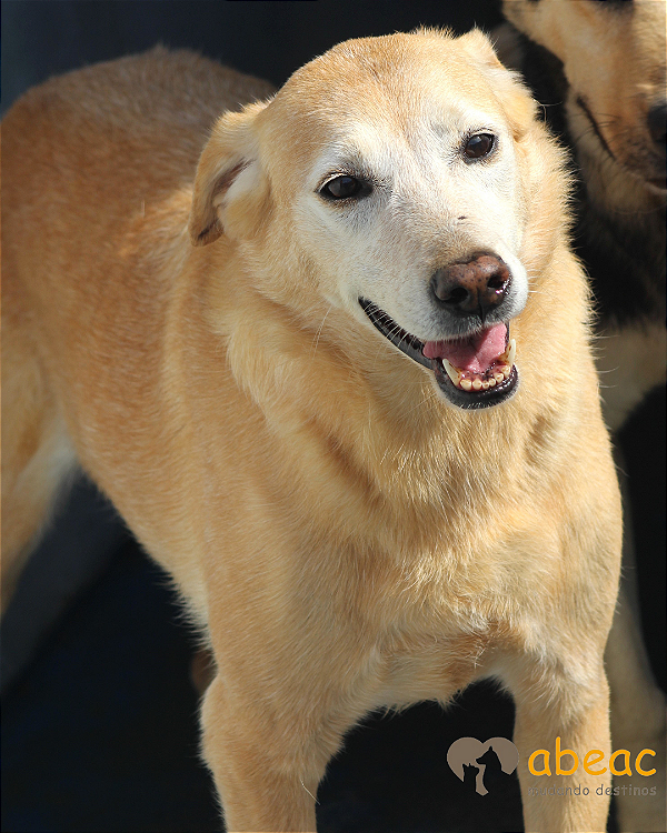 Luisa-300 Anjos - 14 anos