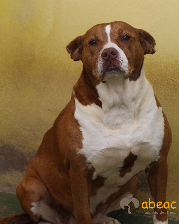 Madona-Sr. Claudio - 12 anos