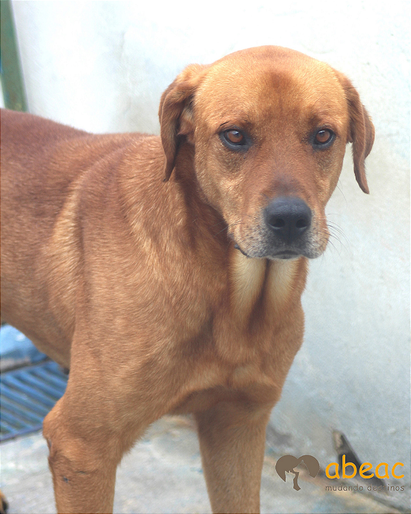 Max-Caucaia - 09 anos