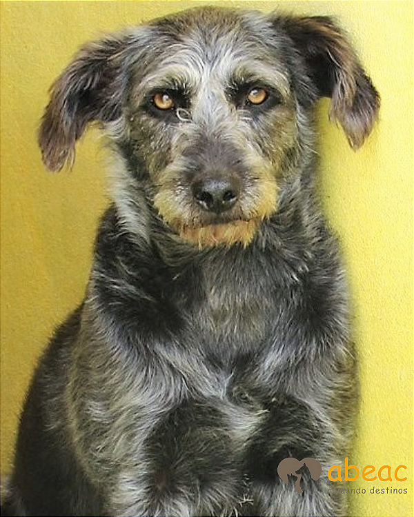 Nestor-Caucaia - 13 anos