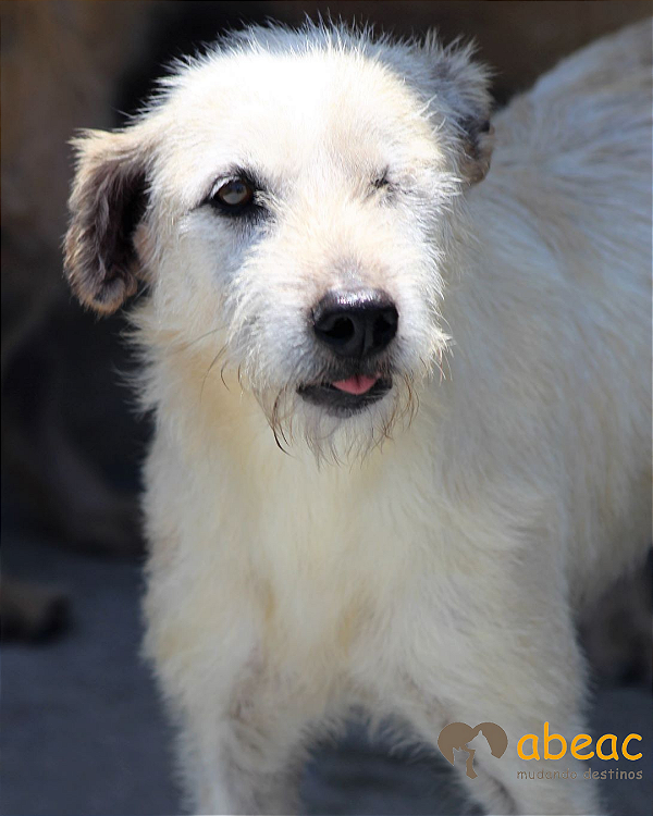 Nino-Caucaia - 14 anos