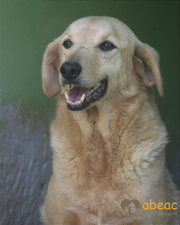 Paco-Sr.Claudio - 09 anos