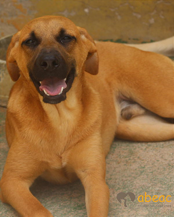 Romeu-Aurora - 04 anos