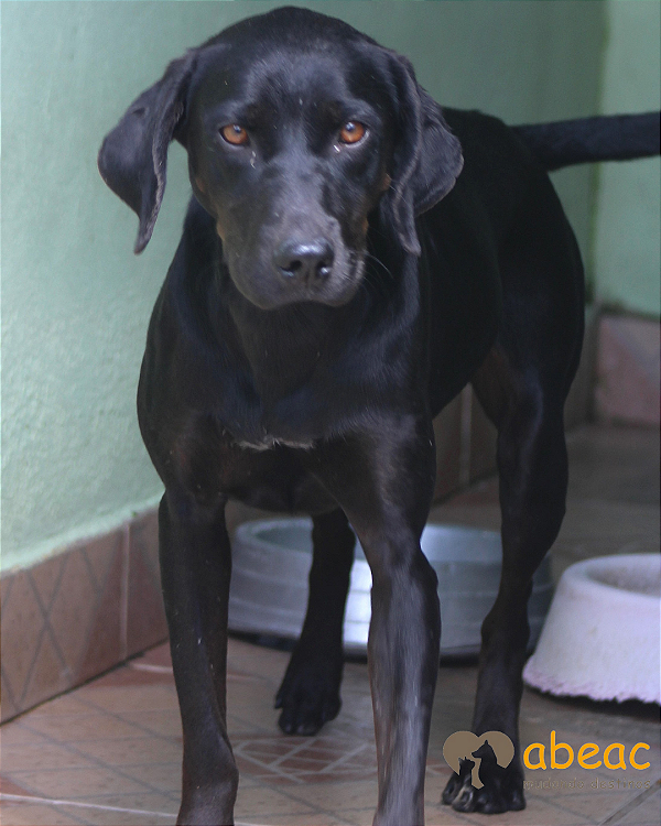 Rubi-Betina - 04 anos