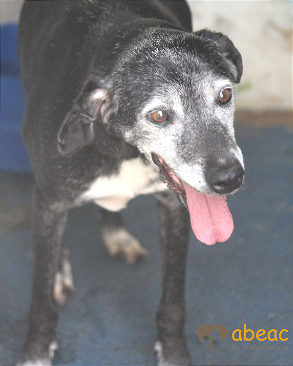 Samantha-Alice - 15 anos