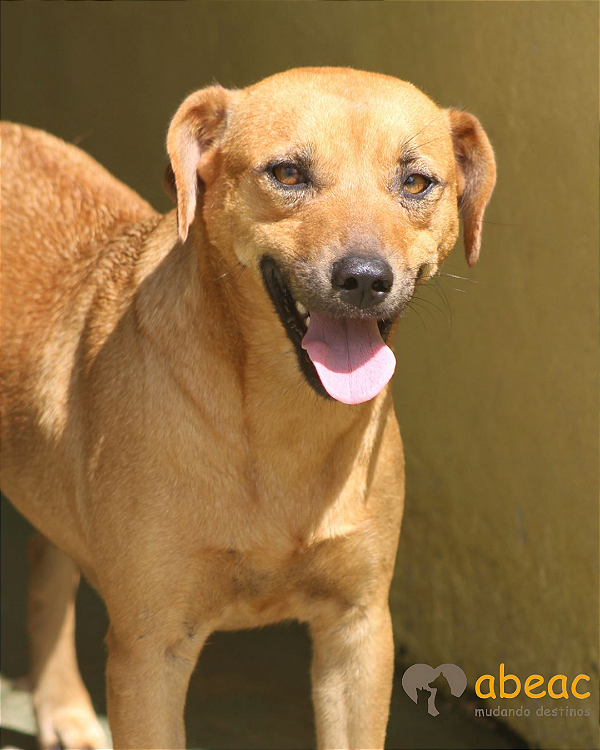 Vicky-Amarula - 08 anos