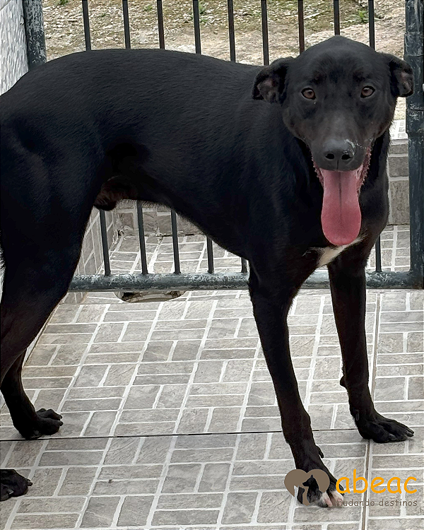 Batman-Mairiporã - 05 anos