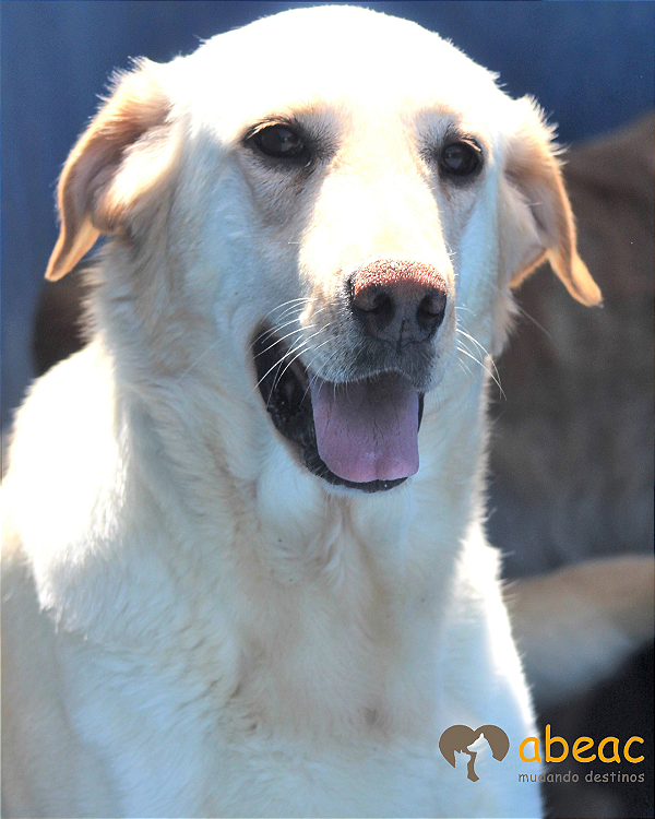 Clara-Vitória - 11 anos