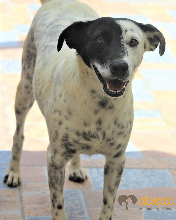 Fiona-Embu - 07 anos