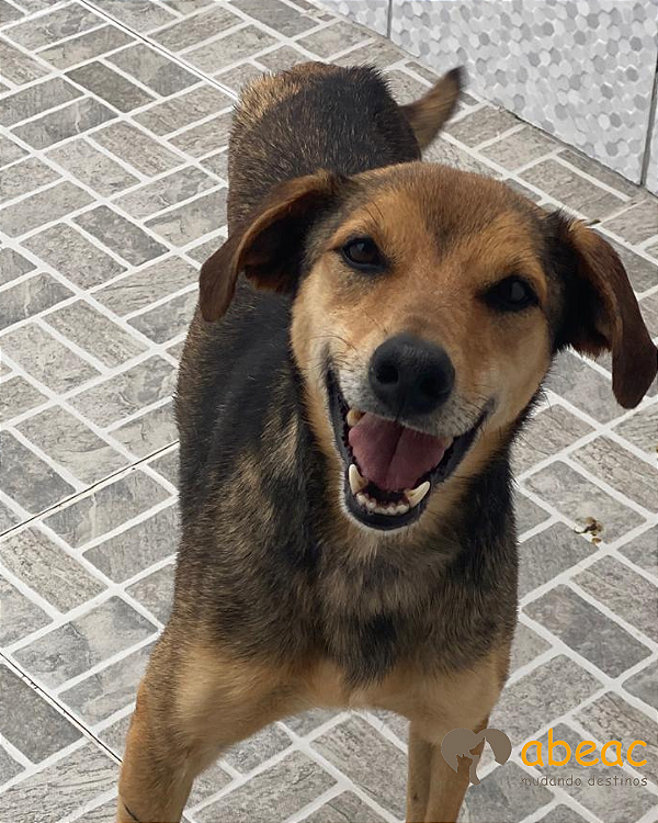 Freddy-Fiona - 04 anos