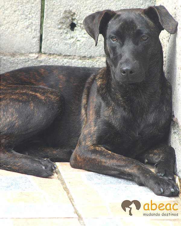 Joe-Sabrina - 02 anos