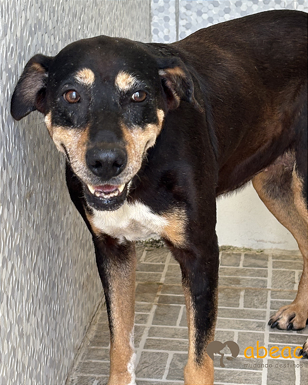 Luisa-Teca - 12 anos