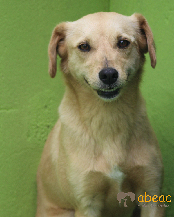 Nina-Caucaia - 05 anos