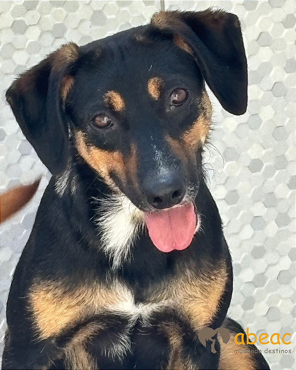 Paty-Safira - 02 anos