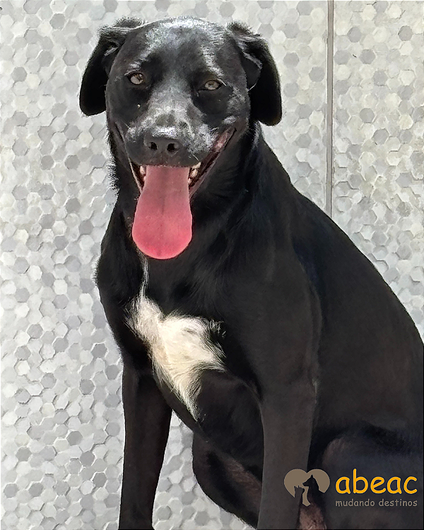 Poly-Sasha - 03 anos