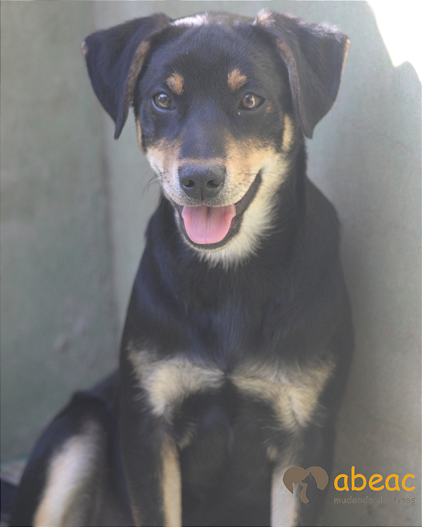 Belinha-Caucaia - 03 anos