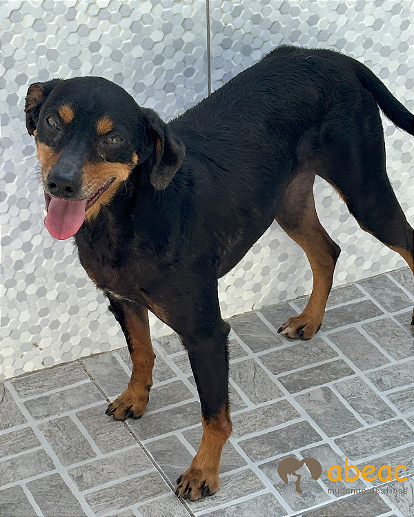 Caco-Mairiporã - 05 anos