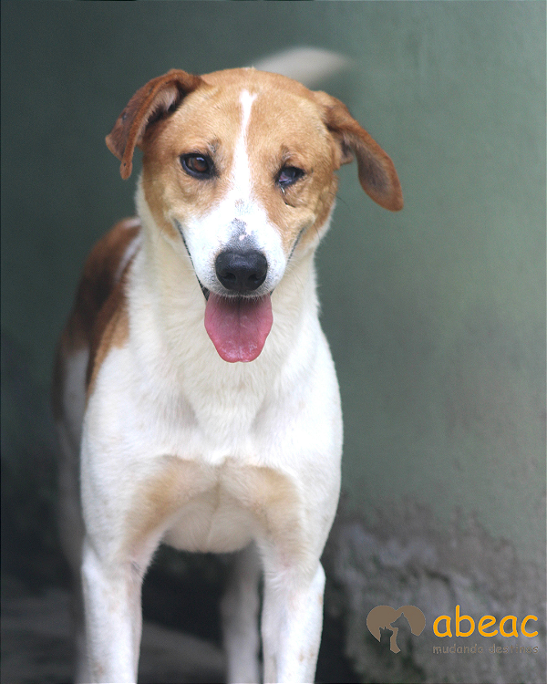 Edgar-300 Anjos - 08 anos