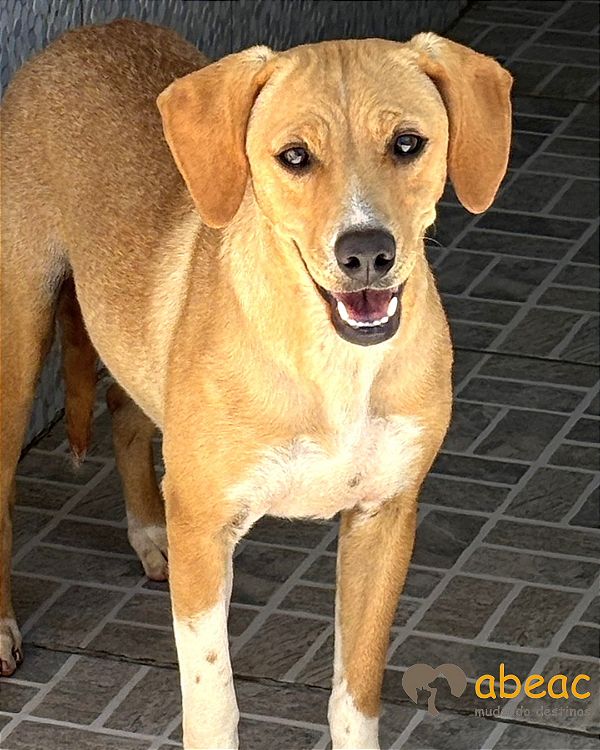 Frida-Joana - 03 anos