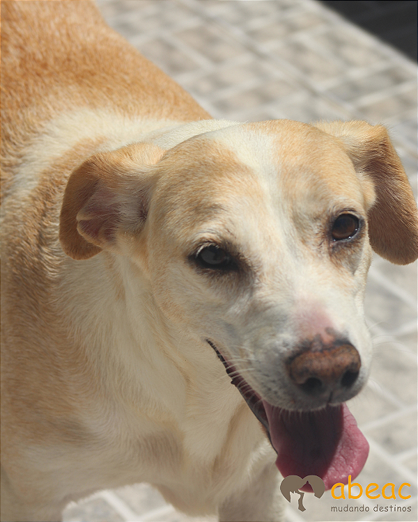 Joana-Caucaia - 07 anos