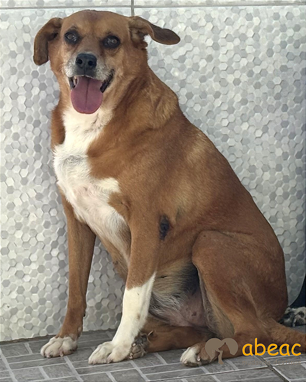 Julia-300 Anjos - 10 anos