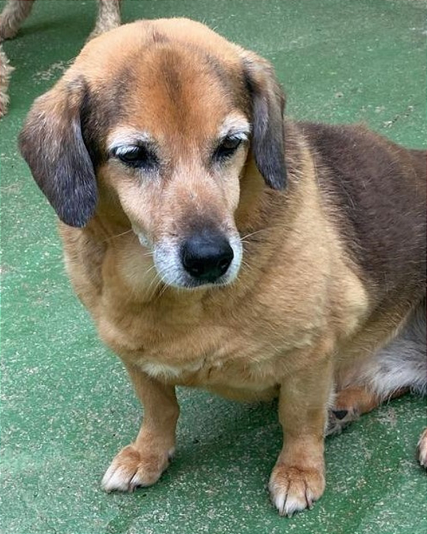 Jully-Parelheiros - 15 anos