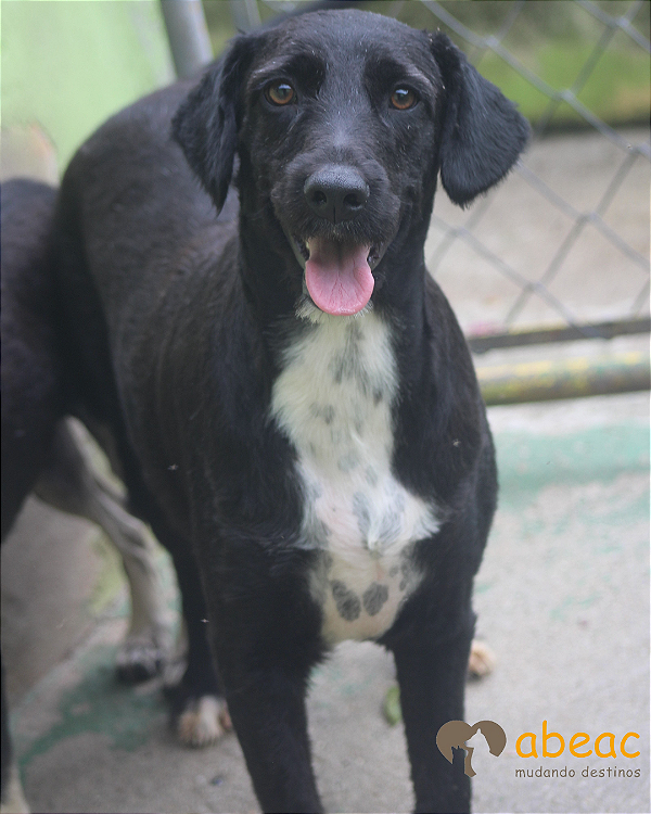 Miguel-Caucaia - 02 anos