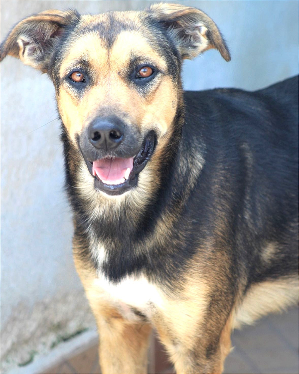 Natascha-Lua - 10 anos