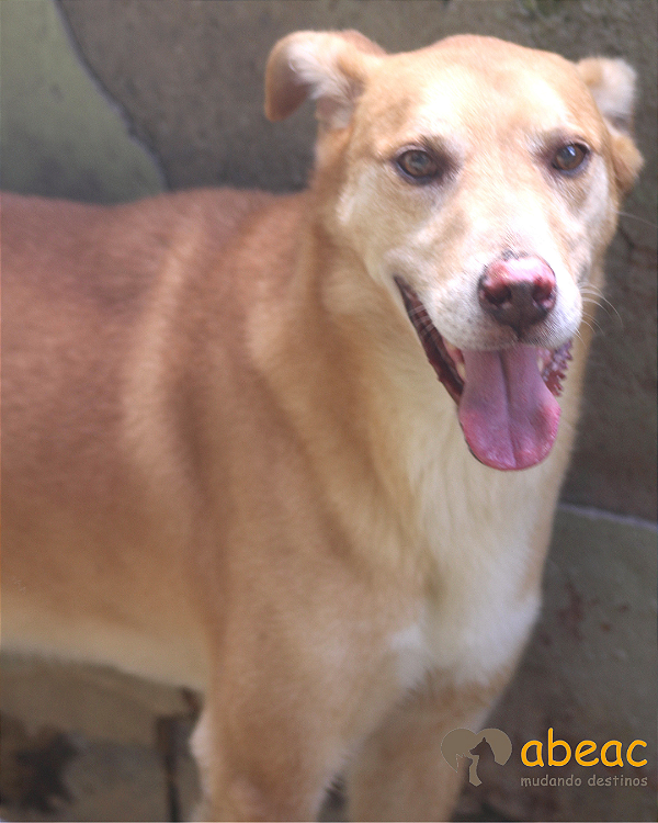 Peter-Caucaia - 10 anos