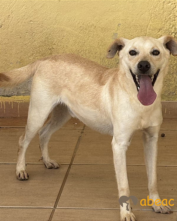 Zeca-Caucaia - 03 anos