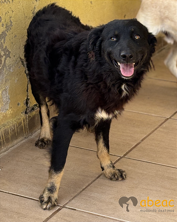 Yan-Caucaia - 03 anos